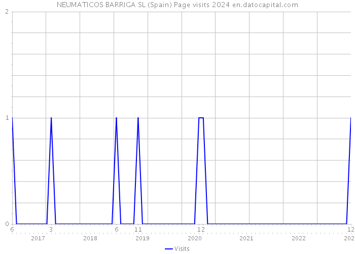 NEUMATICOS BARRIGA SL (Spain) Page visits 2024 