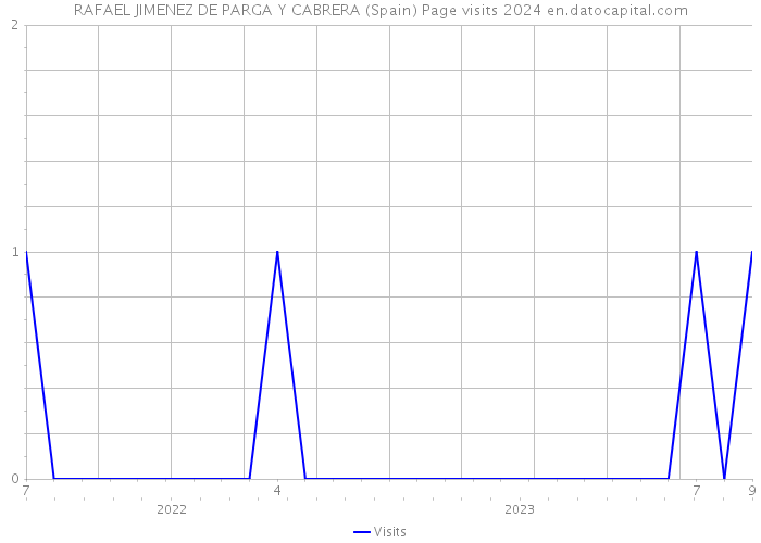 RAFAEL JIMENEZ DE PARGA Y CABRERA (Spain) Page visits 2024 