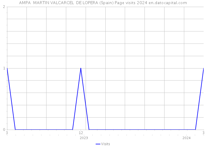 AMPA MARTIN VALCARCEL DE LOPERA (Spain) Page visits 2024 