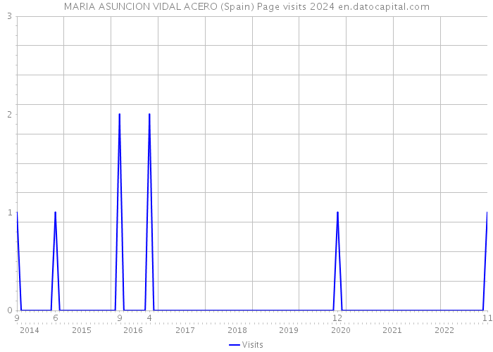 MARIA ASUNCION VIDAL ACERO (Spain) Page visits 2024 