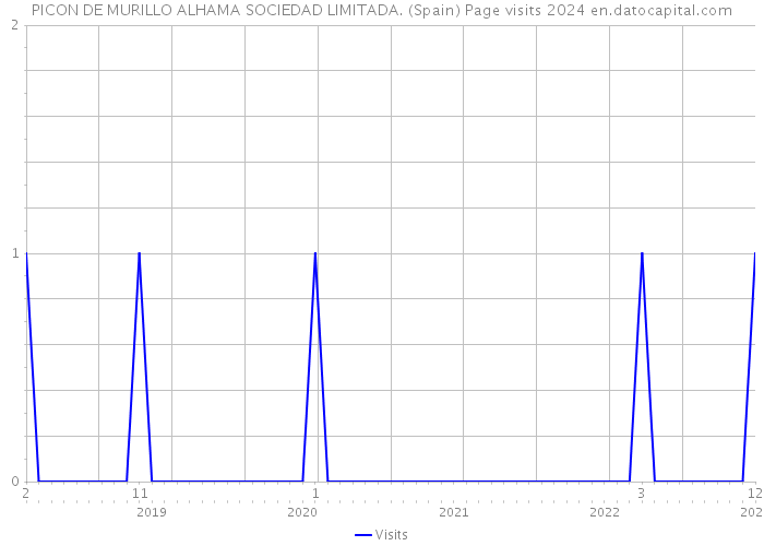 PICON DE MURILLO ALHAMA SOCIEDAD LIMITADA. (Spain) Page visits 2024 