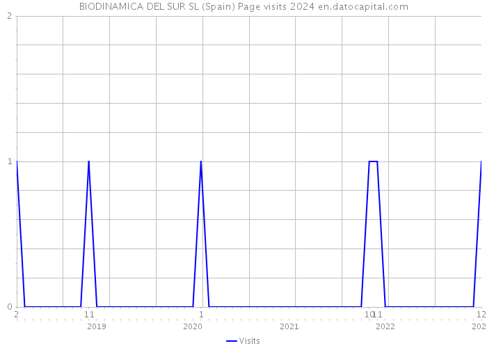 BIODINAMICA DEL SUR SL (Spain) Page visits 2024 