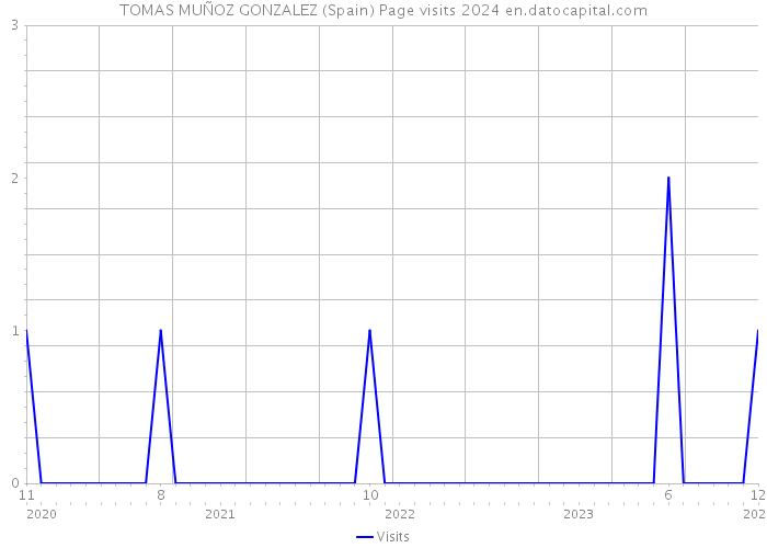 TOMAS MUÑOZ GONZALEZ (Spain) Page visits 2024 
