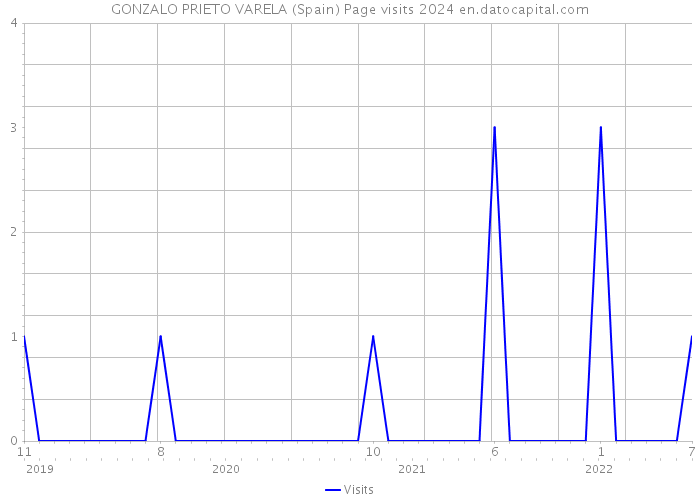 GONZALO PRIETO VARELA (Spain) Page visits 2024 