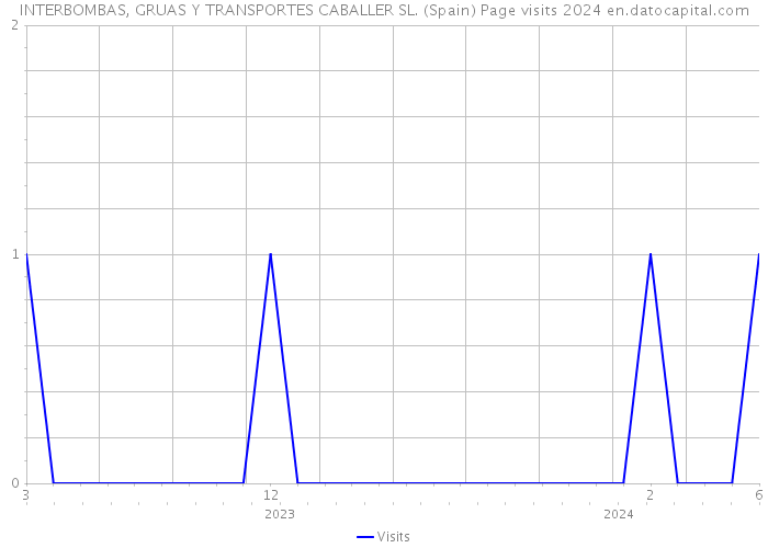INTERBOMBAS, GRUAS Y TRANSPORTES CABALLER SL. (Spain) Page visits 2024 