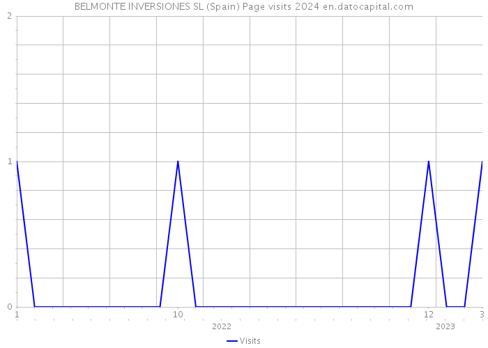 BELMONTE INVERSIONES SL (Spain) Page visits 2024 