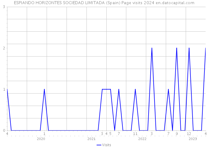 ESPIANDO HORIZONTES SOCIEDAD LIMITADA (Spain) Page visits 2024 