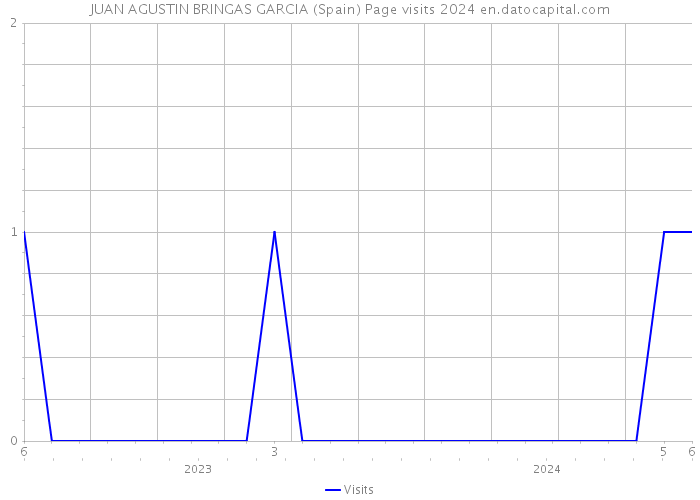 JUAN AGUSTIN BRINGAS GARCIA (Spain) Page visits 2024 