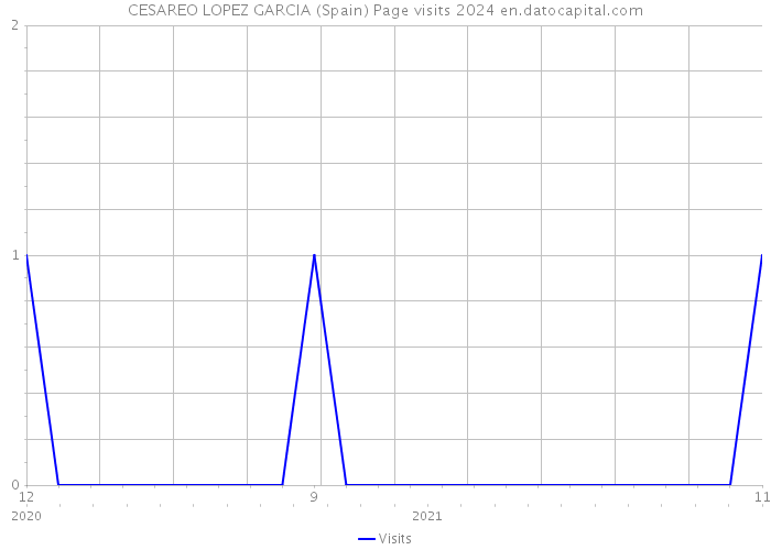 CESAREO LOPEZ GARCIA (Spain) Page visits 2024 