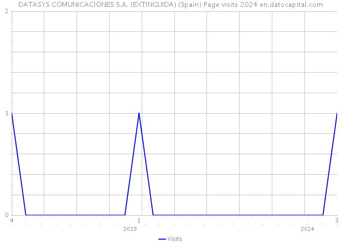 DATASYS COMUNICACIONES S.A. (EXTINGUIDA) (Spain) Page visits 2024 