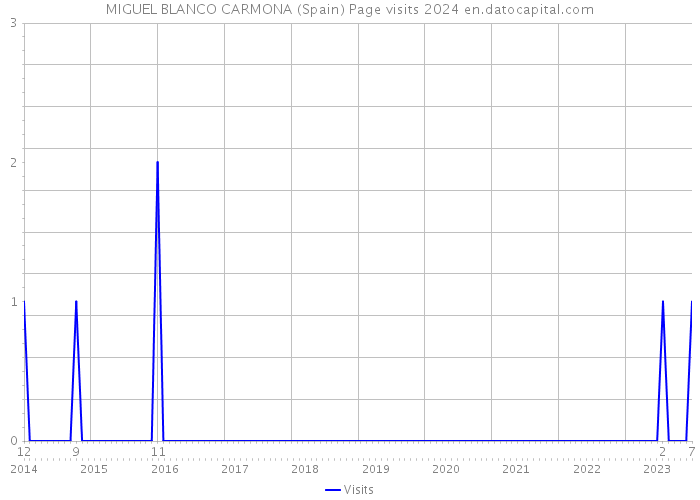 MIGUEL BLANCO CARMONA (Spain) Page visits 2024 