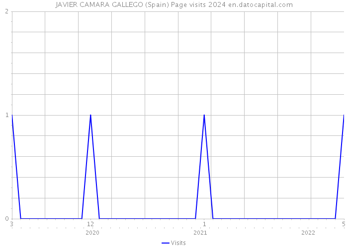 JAVIER CAMARA GALLEGO (Spain) Page visits 2024 