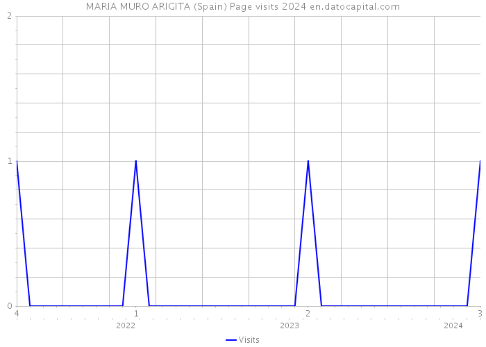 MARIA MURO ARIGITA (Spain) Page visits 2024 