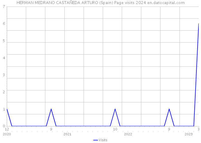 HERMAN MEDRANO CASTAÑEDA ARTURO (Spain) Page visits 2024 