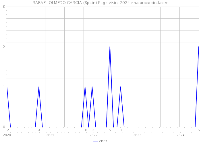 RAFAEL OLMEDO GARCIA (Spain) Page visits 2024 
