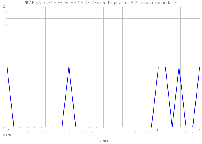 PILAR VALBUENA VELEZ MARIA DEL (Spain) Page visits 2024 