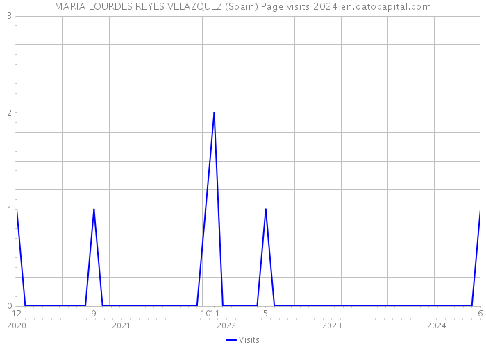MARIA LOURDES REYES VELAZQUEZ (Spain) Page visits 2024 