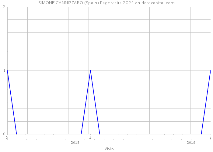 SIMONE CANNIZZARO (Spain) Page visits 2024 