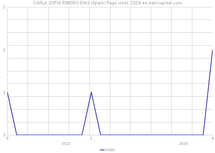 CARLA SOFIA RIBEIRO DIAS (Spain) Page visits 2024 