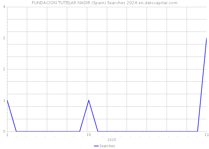 FUNDACION TUTELAR NADIR (Spain) Searches 2024 
