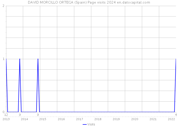 DAVID MORCILLO ORTEGA (Spain) Page visits 2024 
