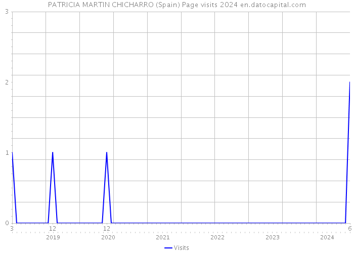 PATRICIA MARTIN CHICHARRO (Spain) Page visits 2024 