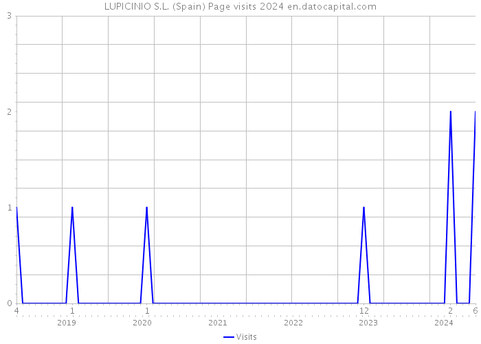 LUPICINIO S.L. (Spain) Page visits 2024 