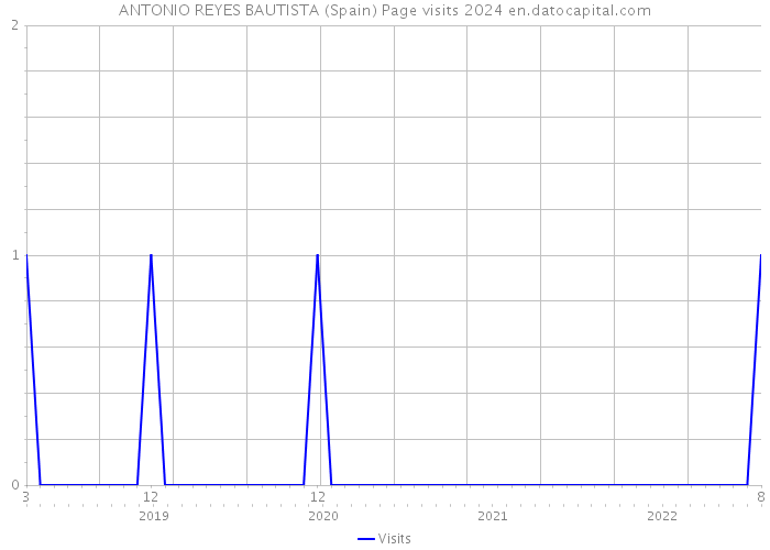 ANTONIO REYES BAUTISTA (Spain) Page visits 2024 