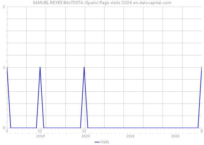SAMUEL REYES BAUTISTA (Spain) Page visits 2024 