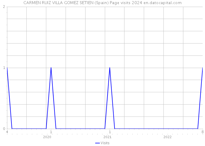 CARMEN RUIZ VILLA GOMEZ SETIEN (Spain) Page visits 2024 
