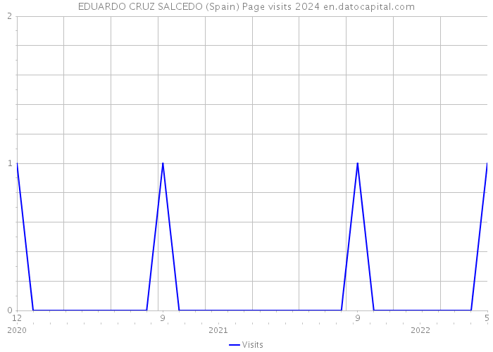 EDUARDO CRUZ SALCEDO (Spain) Page visits 2024 