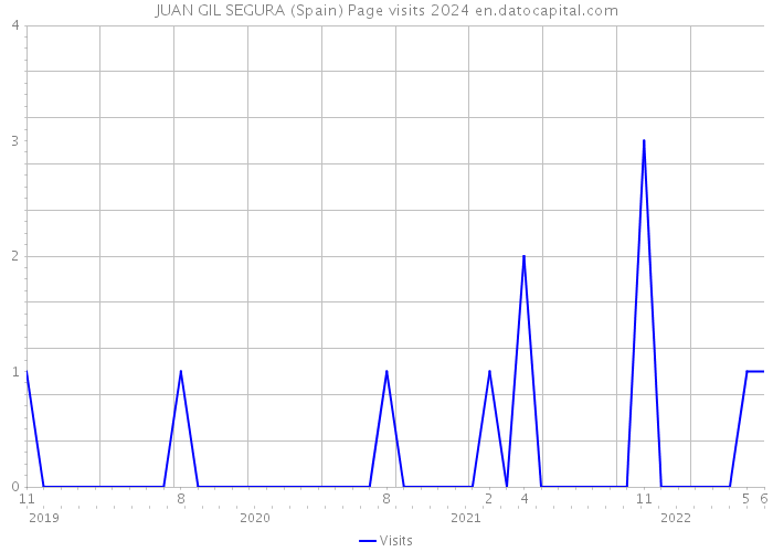 JUAN GIL SEGURA (Spain) Page visits 2024 