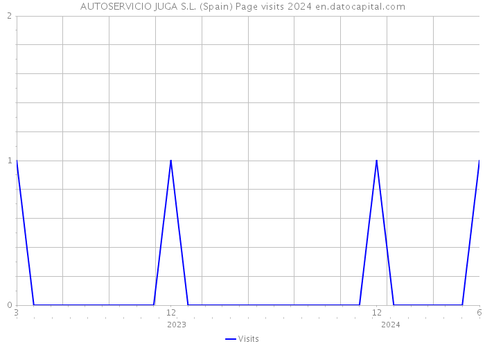 AUTOSERVICIO JUGA S.L. (Spain) Page visits 2024 