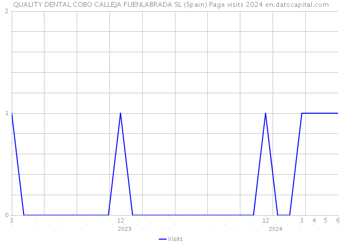 QUALITY DENTAL COBO CALLEJA FUENLABRADA SL (Spain) Page visits 2024 
