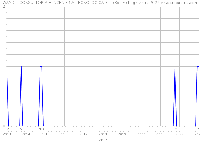 WAYDIT CONSULTORIA E INGENIERIA TECNOLOGICA S.L. (Spain) Page visits 2024 
