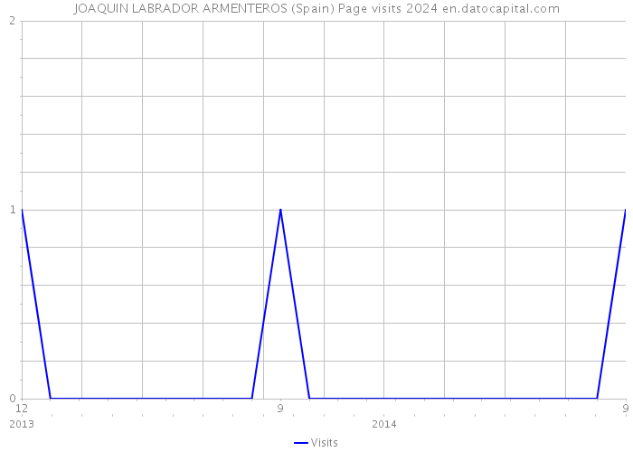 JOAQUIN LABRADOR ARMENTEROS (Spain) Page visits 2024 