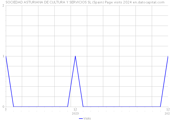 SOCIEDAD ASTURIANA DE CULTURA Y SERVICIOS SL (Spain) Page visits 2024 