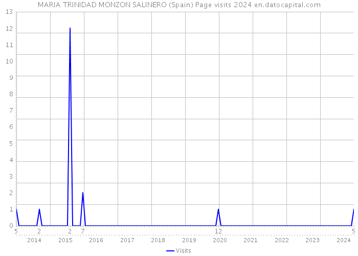 MARIA TRINIDAD MONZON SALINERO (Spain) Page visits 2024 