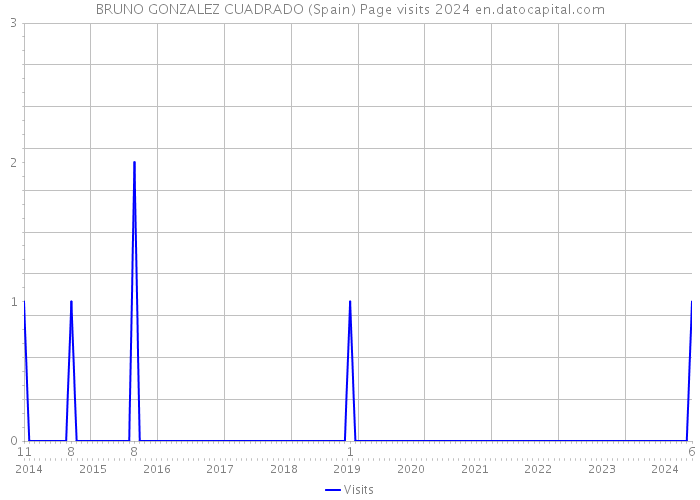 BRUNO GONZALEZ CUADRADO (Spain) Page visits 2024 