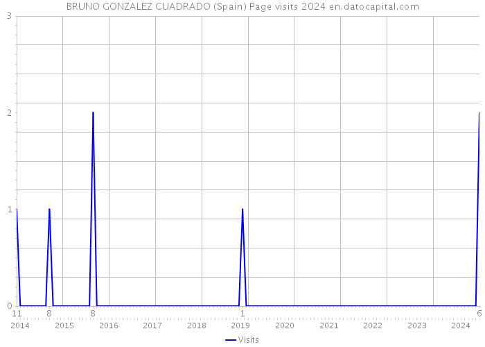 BRUNO GONZALEZ CUADRADO (Spain) Page visits 2024 