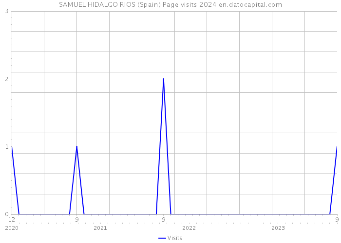 SAMUEL HIDALGO RIOS (Spain) Page visits 2024 