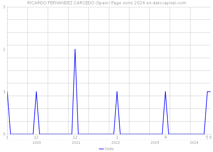 RICARDO FERNANDEZ CARCEDO (Spain) Page visits 2024 