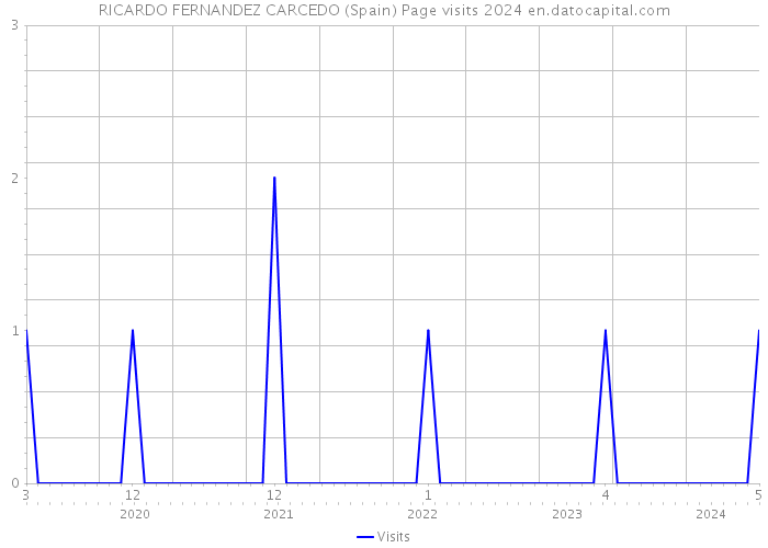 RICARDO FERNANDEZ CARCEDO (Spain) Page visits 2024 