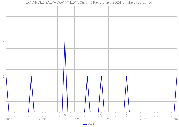 FERNANDEZ SALVADOR VALERA (Spain) Page visits 2024 