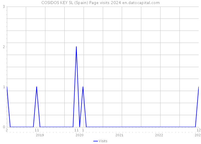 COSIDOS KEY SL (Spain) Page visits 2024 