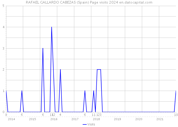 RAFAEL GALLARDO CABEZAS (Spain) Page visits 2024 