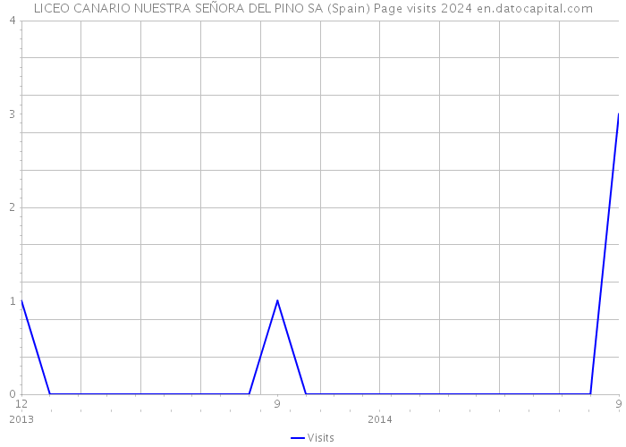 LICEO CANARIO NUESTRA SEÑORA DEL PINO SA (Spain) Page visits 2024 