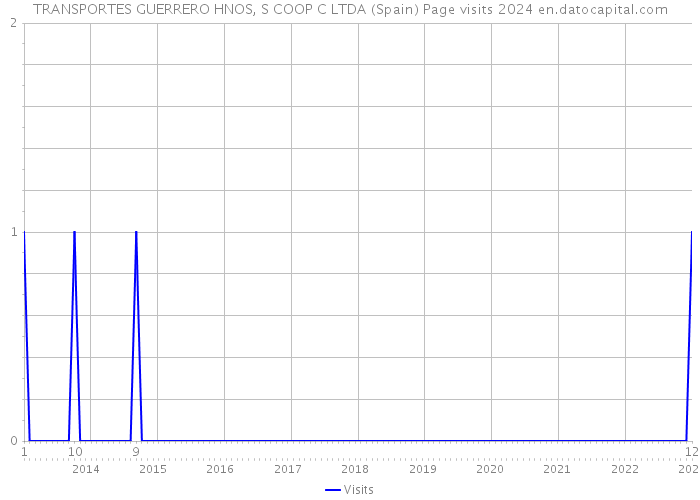 TRANSPORTES GUERRERO HNOS, S COOP C LTDA (Spain) Page visits 2024 