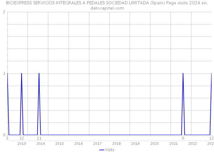 BICIEXPRESS SERVICIOS INTEGRALES A PEDALES SOCIEDAD LIMITADA (Spain) Page visits 2024 