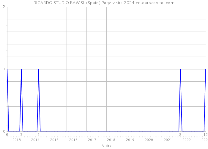 RICARDO STUDIO RAW SL (Spain) Page visits 2024 